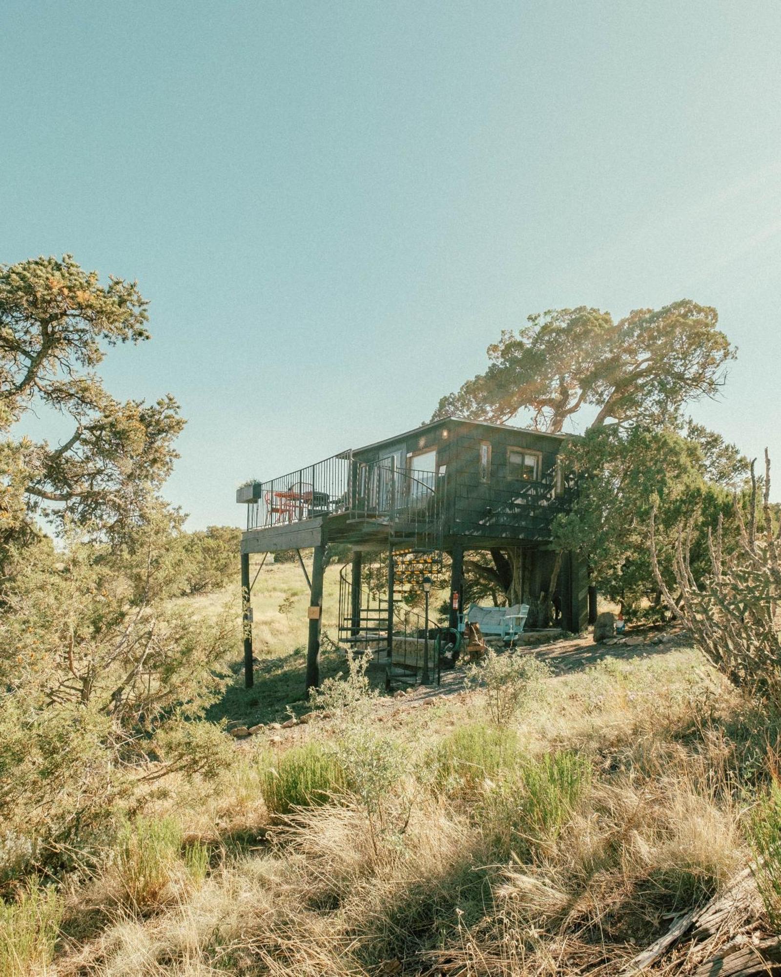 Willa Ashley'S Treehouse At El Mistico Ranch Nogal Zewnętrze zdjęcie