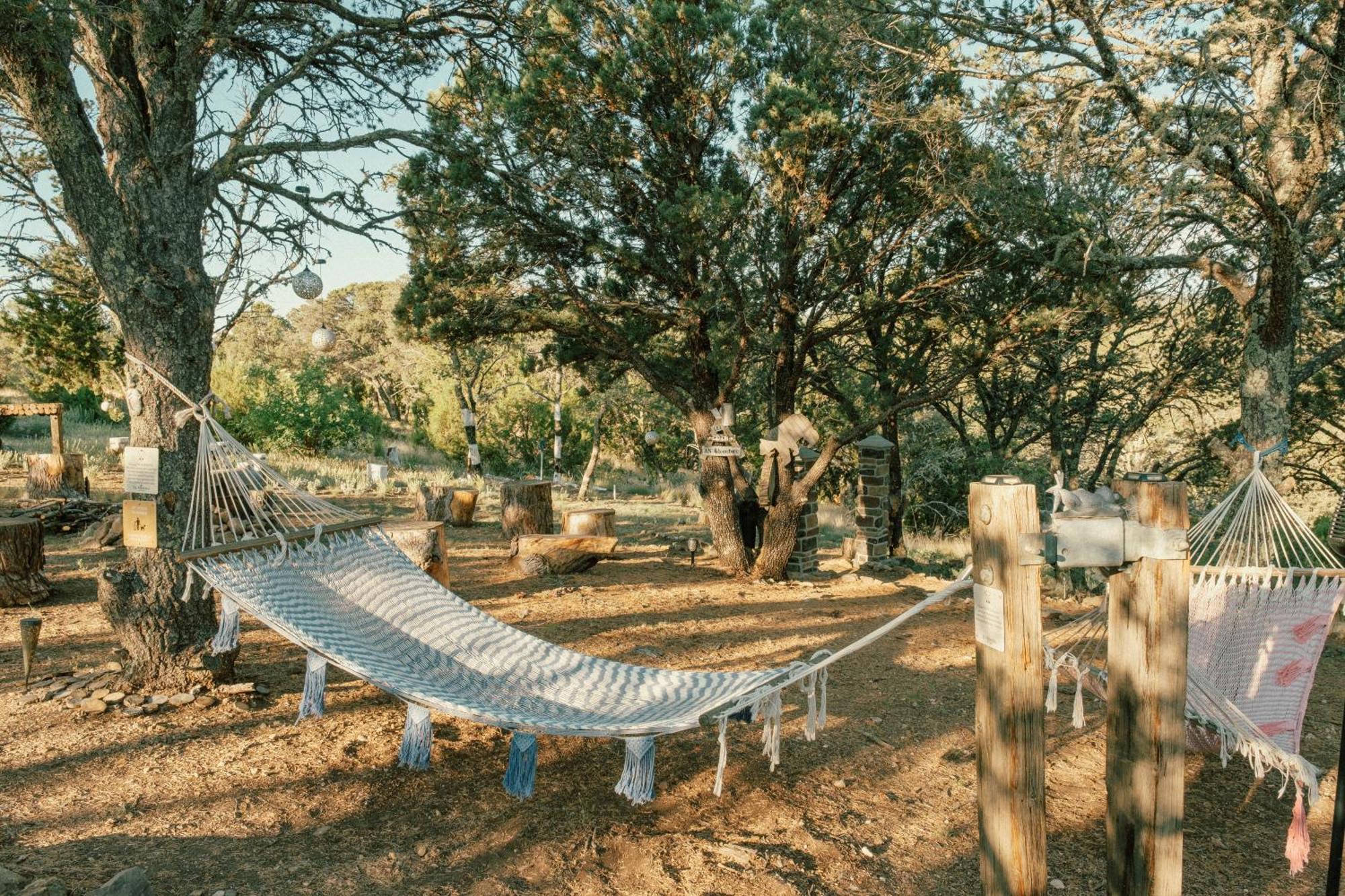 Willa Ashley'S Treehouse At El Mistico Ranch Nogal Zewnętrze zdjęcie